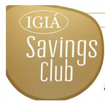 EVERTONE-129-1948-Prosage-Thermo-Copper-Massage-Gun-fig3