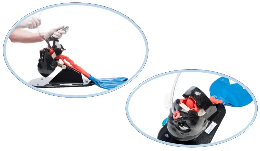 trucorp AA51100 AirSim Bronchi