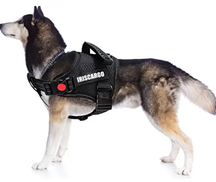 Zoofari-HG04974A-X-Large-Dog-Harness-product