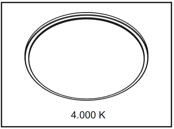 Assembly Instructions