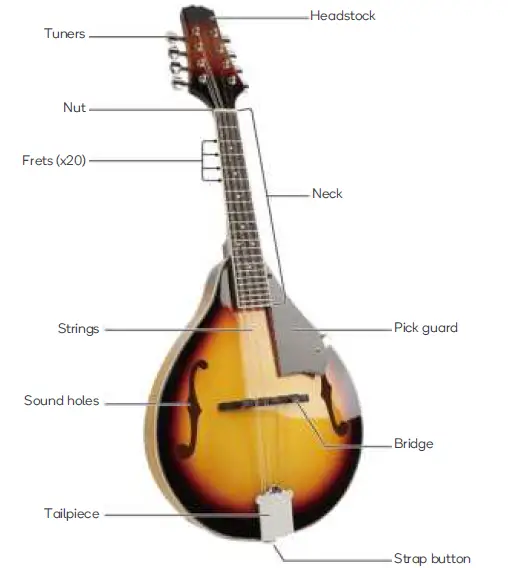 kogan-RYAMANDOSBA-A-Style-Acoustic-Mandolin-01