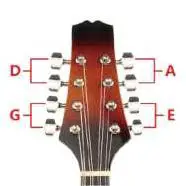 kogan-RYAMANDOSBA-A-Style-Acoustic-Mandolin-02