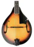 kogan-RYAMANDOSBA-A-Style-Acoustic-Mandolin-03