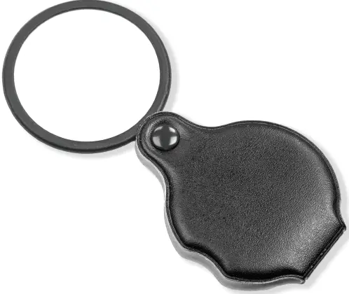 CARSON GN-11 4x Glass Magnifier with Attached Case-FIG1