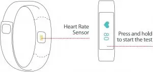 Heart Rate Interface