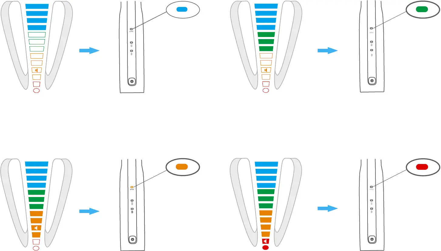 Apex Enlargement Area 03