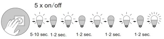 Paul Neuhaus 835044 Ceiling Light - Reset