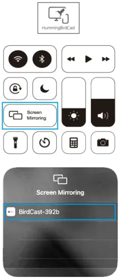 SCREEN MIRRORING
