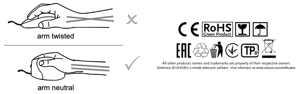 CNS-CMSW16B Figure 2