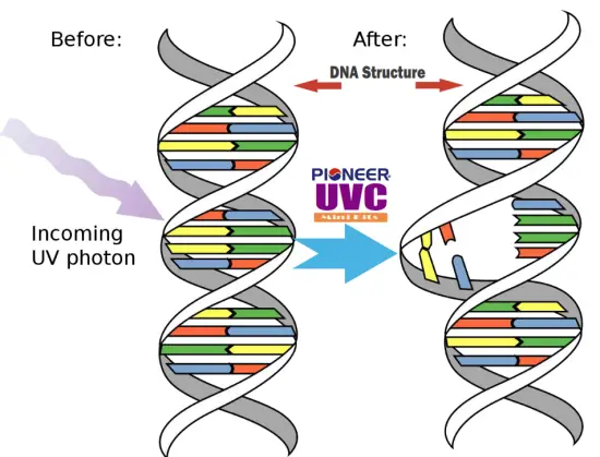 Pioneer IKT UVL32UL AG UVC Bacterial Disinfection for Ductless Mini Split Systems - odor
