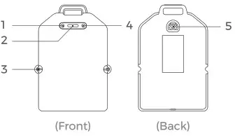WAYDOO Flyer ONE Innovative eFoil Redefining Watersports - Power Flight