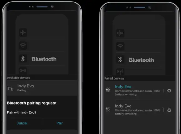 Skullcandy S2IVW N912 Indy Evo True Wireless In Ear Earbuds - Frust Pair 3
