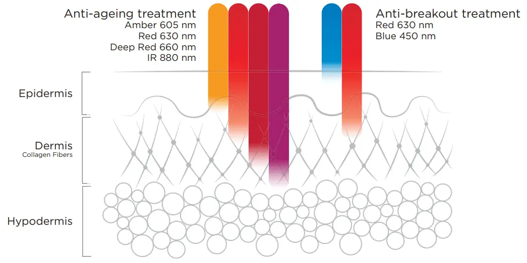 Qure Skincare P19 0023 Q Rejuvalight Pro Facewear - cable 2