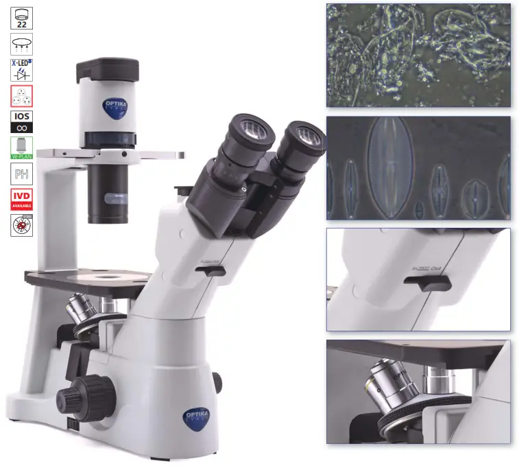 OPTIKA IM 3 IM 3 Series Routine Lab Inverted Microscopes - Brightfield