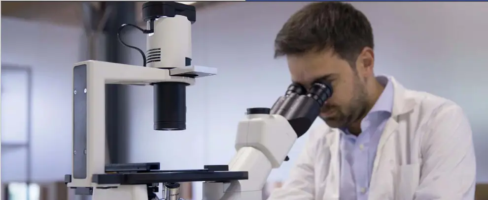 OPTIKA IM 3 IM 3 Series Routine Lab Inverted Microscopes - LABS