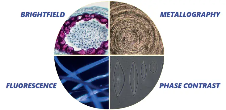 OPTIKA IM 3 IM 3 Series Routine Lab Inverted Microscopes - METALLOGRAPHY