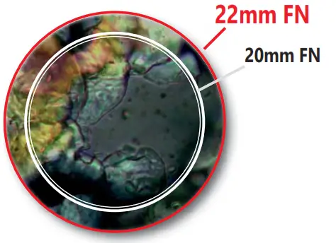 OPTIKA IM 3 IM 3 Series Routine Lab Inverted Microscopes - Specimen
