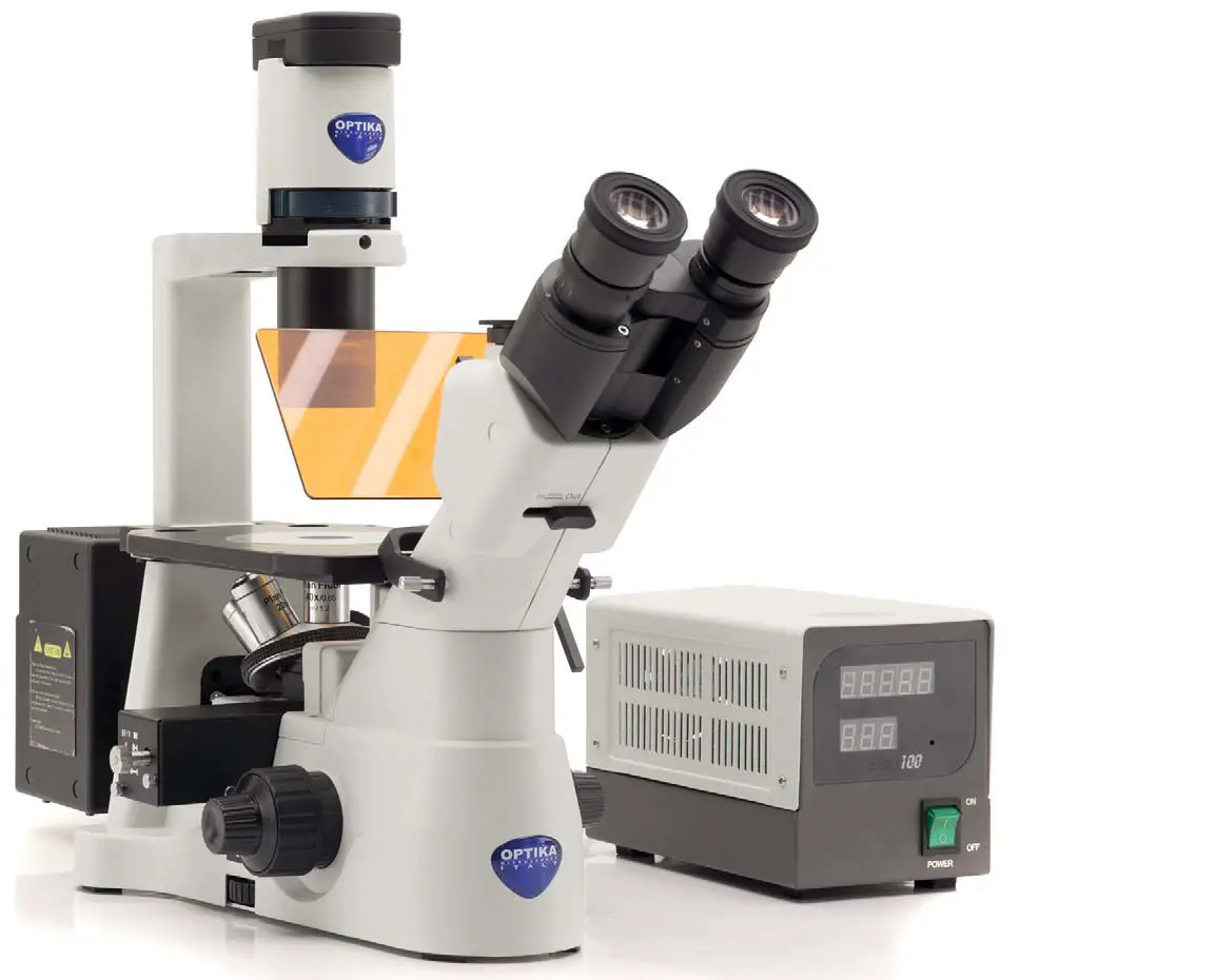 OPTIKA IM 3 IM 3 Series Routine Lab Inverted Microscopes - fig