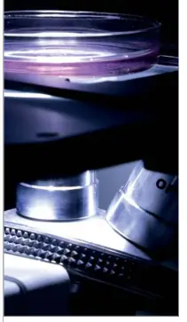 OPTIKA IM 3 IM 3 Series Routine Lab Inverted Microscopes - microscopes