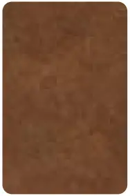 Cadco CBC GG 2 L Series CBC GG 2 L5 MobileServ Deluxe Grab and Go Merchandising Cart - FIG 2