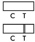 Abbott Panbio COVID-19 Ag Rapid Test Device-10