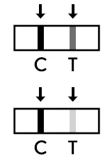 Abbott Panbio COVID-19 Ag Rapid Test Device-9