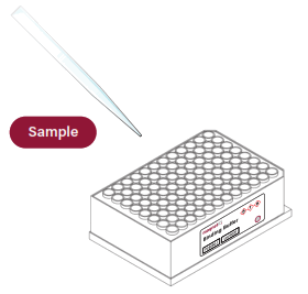 GALENVS PC0096 PCR Clean Up Kit - 1