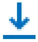downloads Icon