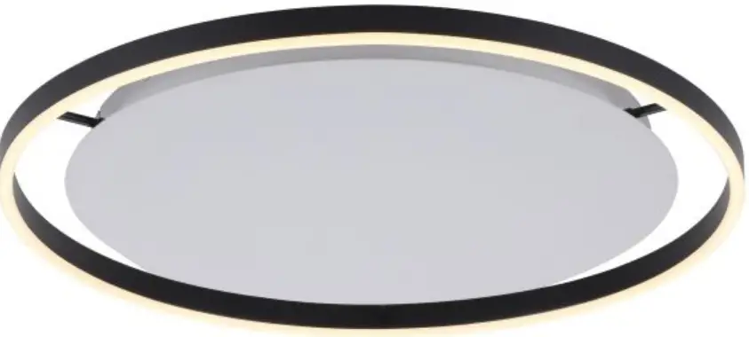 Paul Neuhaus 14339 LED Ceiling Light