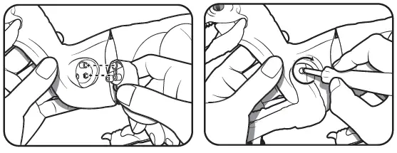 AMEWi-40008-RC-Dinosaurier-Velociraptor-Toy-Robot- (1)