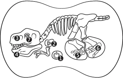 AMEWi-40008-RC-Dinosaurier-Velociraptor-Toy-Robot- (7)