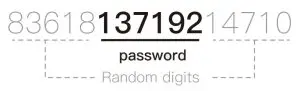 Kaadas R6G Gate Digital Lock -Fake PIN code