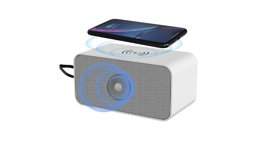 Shenzhen Doageas Technology B81x Bluetooth Speaker Instructions