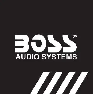 Boss logo