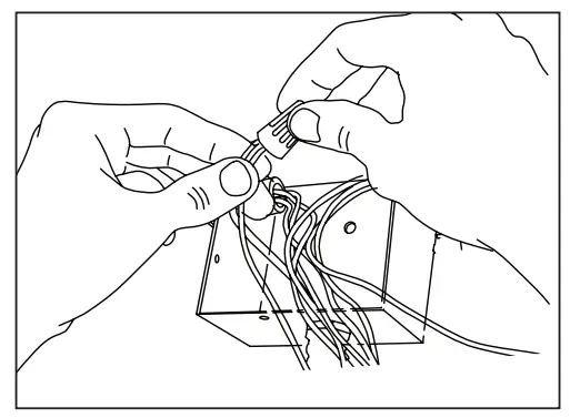 Installation Instruction