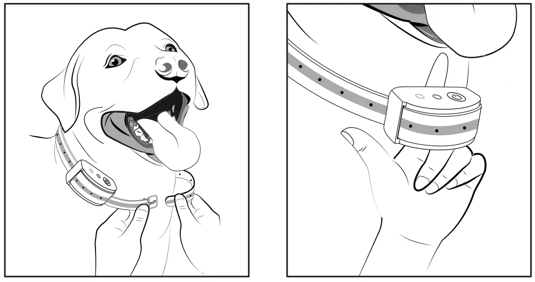 PetSafe-PF-07-Wireless-Pet-Fence-System-Fig8