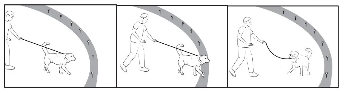 PetSafe-PF-07-Wireless-Pet-Fence-System-Product-Fig10
