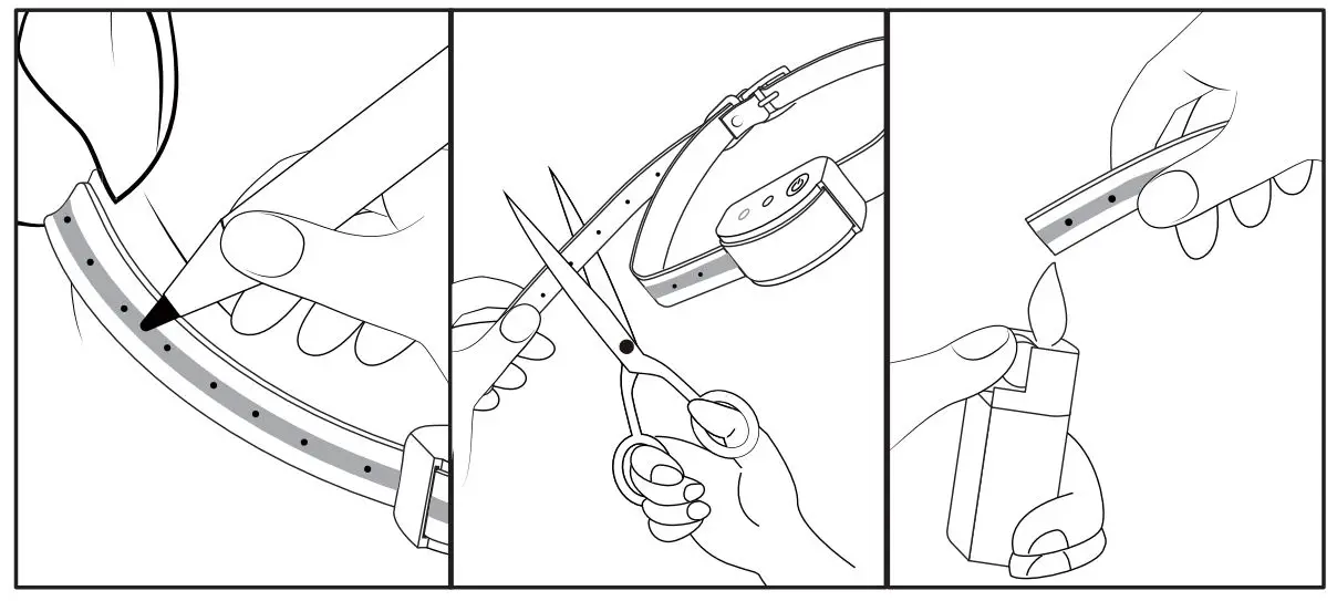 PetSafe-PF-07-Wireless-Pet-Fence-System-Product-Fig9