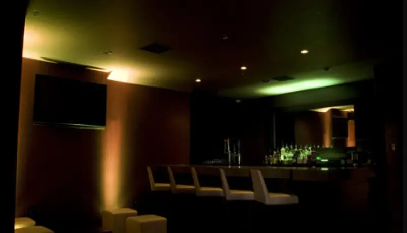 Adj 50rgb Rc Mega Bar Lighting User Manual