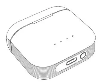 Gold Fingers TWS-10NB-Z True Wireless Earphones 1