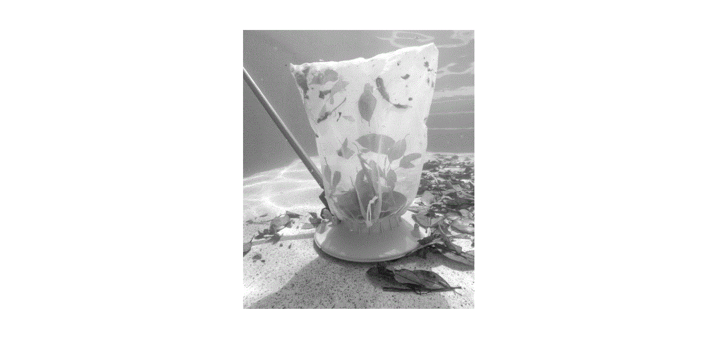 Water Tech Volt Leaf Vac Recharge Cordless Vacuum User Manual