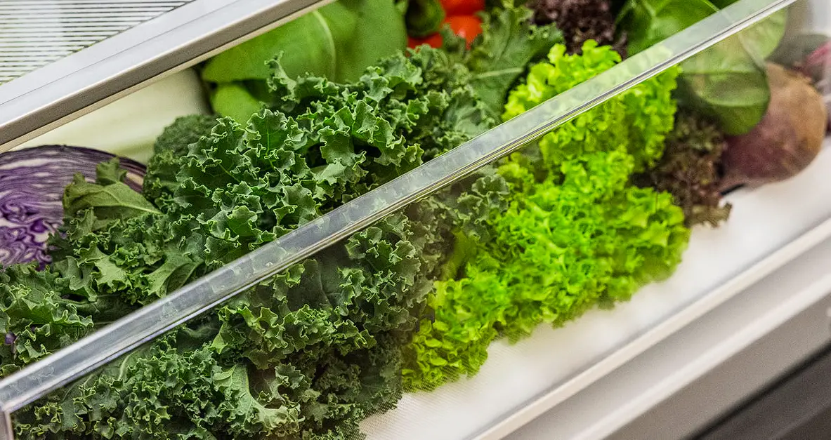 Haier Hrf241vw Adjustable Shelving With Removable Shelf User Guide