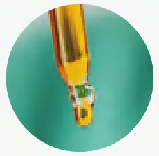 KINDRA The Daily Vaginal Lotion and Aurora Applicator NIACINAMIDE