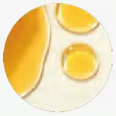 KINDRA The Daily Vaginal Lotion and Aurora Applicator TOCOPHERYL