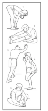 PowerMax-TDA-230M-Treadmill-11