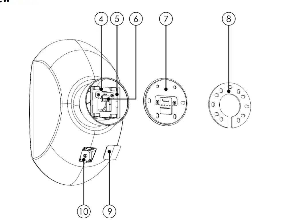 Description of the Device