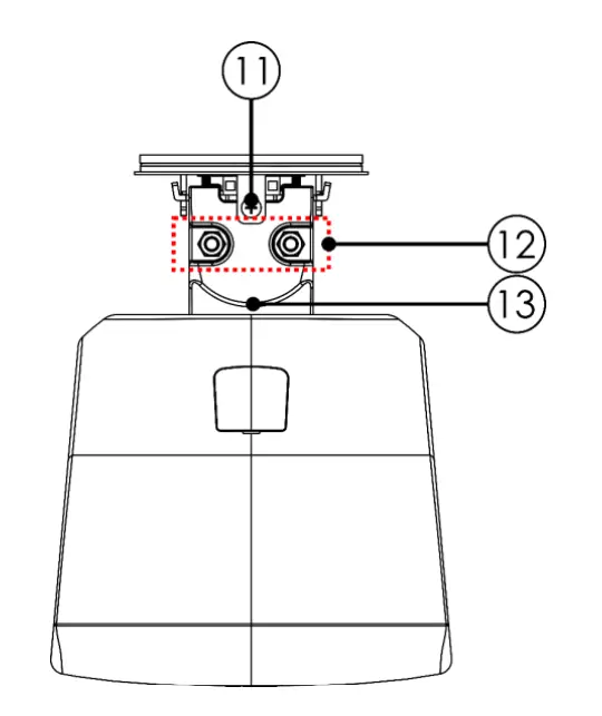 Description of the Device