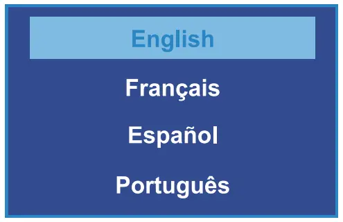 REXING V33 Plus Front Cabin and Rear Camera Dashcam - Language