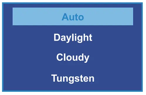 REXING V33 Plus Front Cabin and Rear Camera Dashcam - White Balance