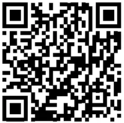 REXING V33 Plus Front Cabin and Rear Camera Dashcam - qr3